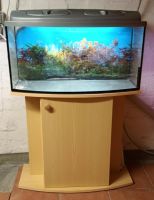 Aquarium / Terrarium mit Unterschrank ca. 81 cm breit Wandsbek - Hamburg Bramfeld Vorschau