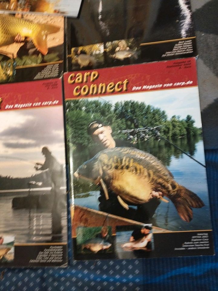 VERK. 10 KARPFENMAGAZINE,KONVOLUT,CARP  CONNECT in Berlin