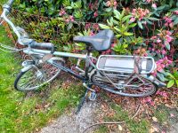 E-Bike Gazelle Rahmenhöhe 61 Orange Strand Innergy Niedersachsen - Rastede Vorschau