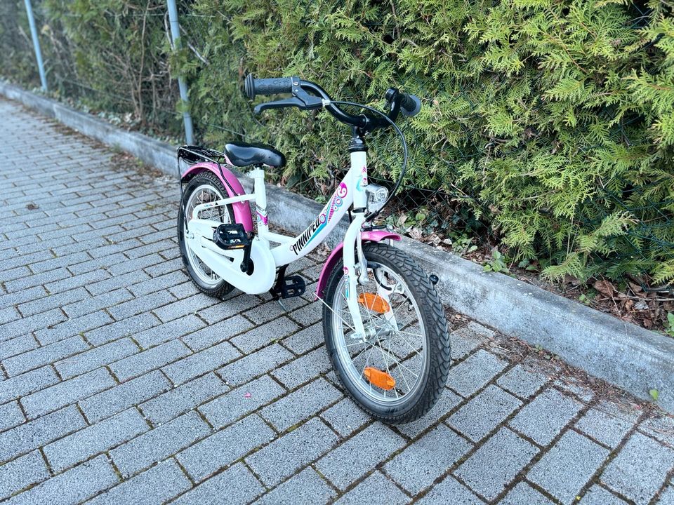 Pinniped Kinderfahrrad 16 Zoll in Grasbrunn