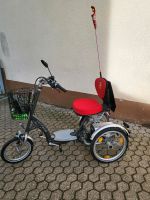 Elektrofahrrad/ Mobilitätsroller/ Dreirad für Erwachsene Rheinland-Pfalz - Höhr-Grenzhausen Vorschau