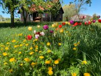 Cottage in den Masuren Essen - Essen-Werden Vorschau