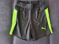 Sportshorts von Puma (128) Hessen - Maintal Vorschau