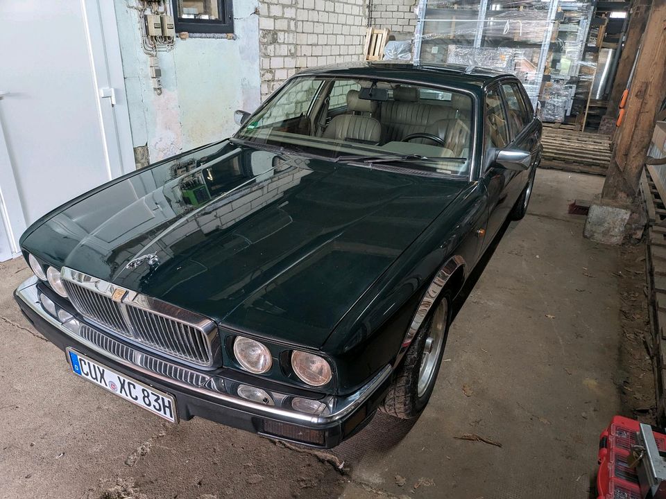 Jaguar XJ40, XJ,81 12v 6.0l in Geestland