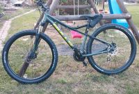 Bulls  Sharptail RL Disc MTB Hardtail 29" Thüringen - Gera Vorschau