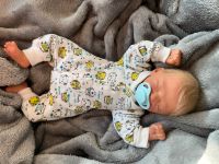 Reborn, Mini Reborn, Micro Preemie „Zane“ von Marita Winters Berlin - Lichtenberg Vorschau