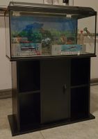 Aquarium mit Unterschrank und Zubehör 80x35x110 Bayern - Mühlhausen i.d. Oberpfalz Vorschau