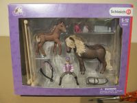 Schleich Horse Club 42362 Pferdepflegerin mit Shettys Niedersachsen - Bad Bederkesa Vorschau