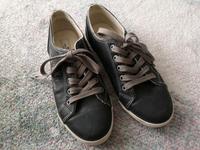 Sneakers von Tom Tailor Gr. 39 grau (selten getragen) Kr. Dachau - Dachau Vorschau