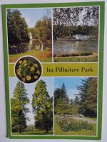 DDR Postkarte Dresden-Pillnitz Im Pillnitzer Park Hessen - Gießen Vorschau