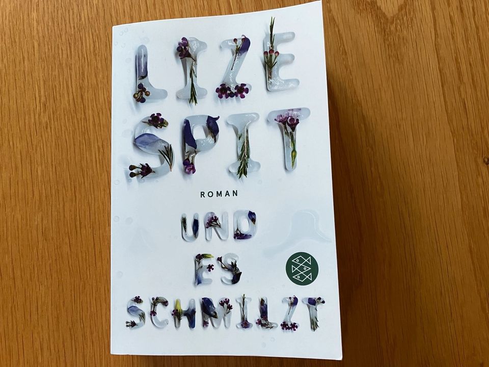 "Und es schmilzt", Lize Spit, Taschenbuch, wie neu in Hamburg