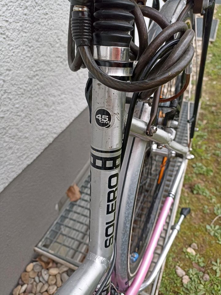 Pegasus Damenfahrrad Größe 45 in Schwetzingen