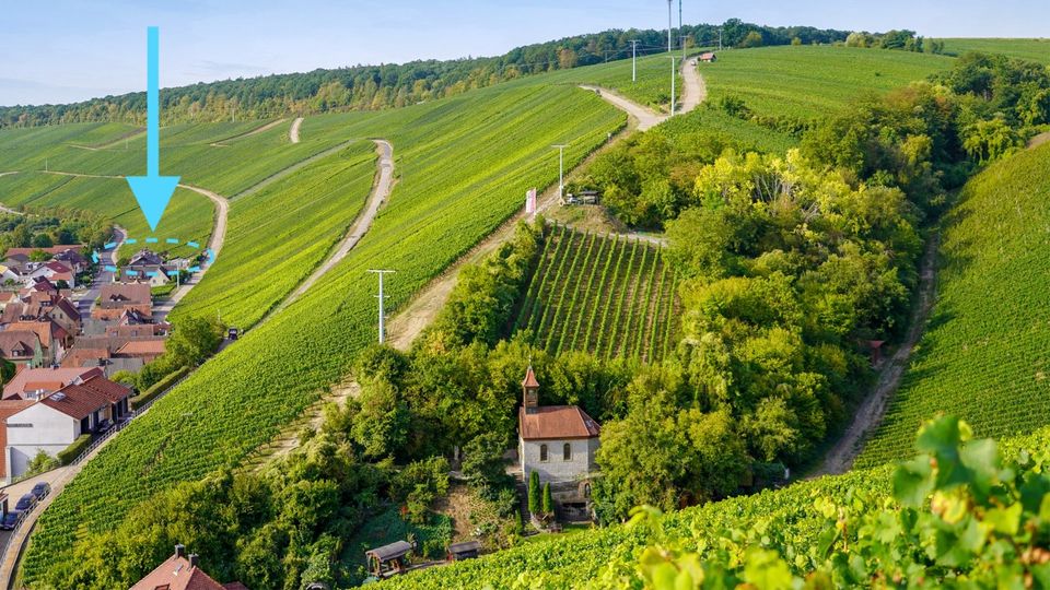 Exkl. Weingut in Escherndorf-Volkach +viel Grund in Volkach