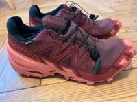 Wie neu: Salomon Speedcross 6 GTX W, 8,5 bzw. 42 2/3 Bayern - Neuschönau Vorschau