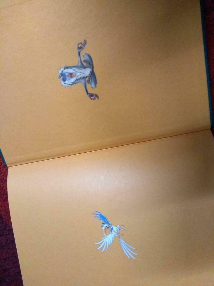 Disney der König der Löwen, Dschungelbuch, Schneider Sammelband in Weißenburg in Bayern