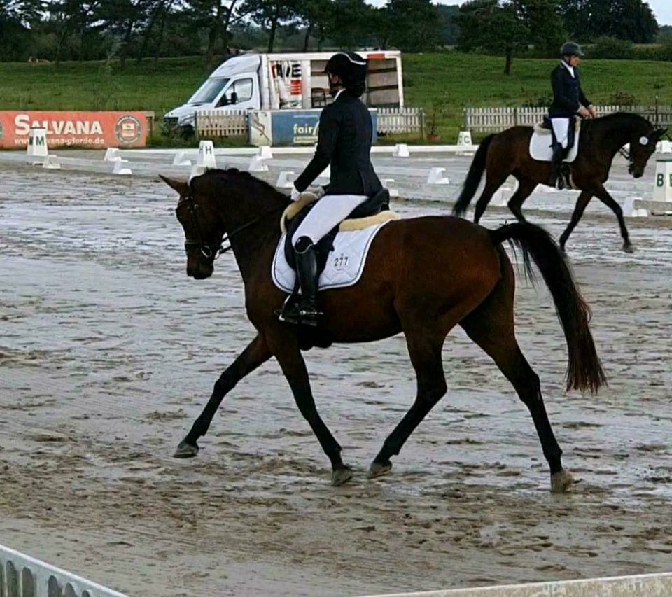 *MOBILER REITUNTERRICHT UND BERITT* in Flensburg