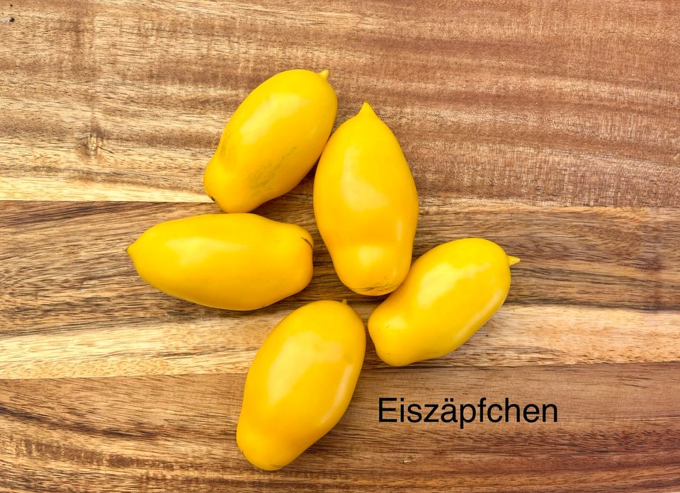 Tomatensamen - gelbe Sorten in Stuttgart