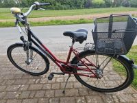 Damen Fahrrad Citybike Gudereit Nordrhein-Westfalen - Werther (Westfalen) Vorschau