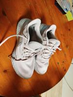 Nike Revolution Sport Schuhe Sneaker EU. 40 Stuttgart - Zuffenhausen Vorschau