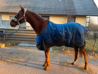 Verlässliches Freizeitpferd zu verkaufen/Englisches Vollblut Baden-Württemberg - Blaubeuren Vorschau
