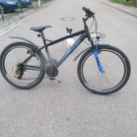 Alu Rex Bergsteiger 7.0 Mountainbike Schwarz /Blau mit Federgabel Baden-Württemberg - Meißenheim Vorschau