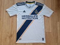 LA Galaxy Trikot Jersey Shirt Ibrahimović Adidas Größe S Berlin - Marienfelde Vorschau