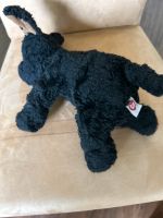 Ty beanie Baby Hund Dortmund - Aplerbeck Vorschau