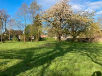 Baugrundstück Marnitz positiver Bauvorbescheid §34 Tiny House Parchim - Landkreis - Tessenow Vorschau