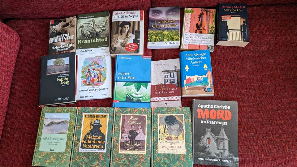 16 Bücher Großdruckschrift in Lahr (Schwarzwald)