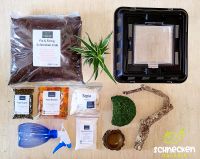 Komplettset Terrarium für Achatschnecken Schnecken Sachsen - Bautzen Vorschau