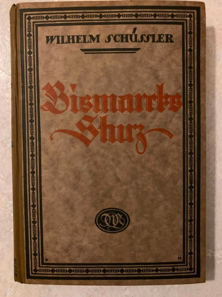 Buch, "Bismarcks Sturz", 1922, Wilhelm Schüßler, TOP-Zustand !!! in Karlsruhe