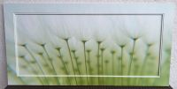 Lichtvolles Pflanzenbild - Gräser - in Grüntönen Bayern - Dasing Vorschau