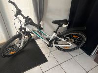 Pegasus Kinderfahrrad 26 Zoll Baden-Württemberg - Waghäusel Vorschau