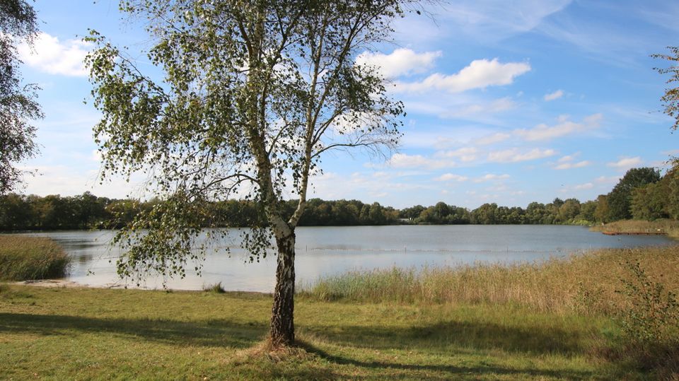 Charmantes Wochenendhaus mit Wintergarten und Carport in idyllischer Lage in Westerstede-Karlshof in Westerstede