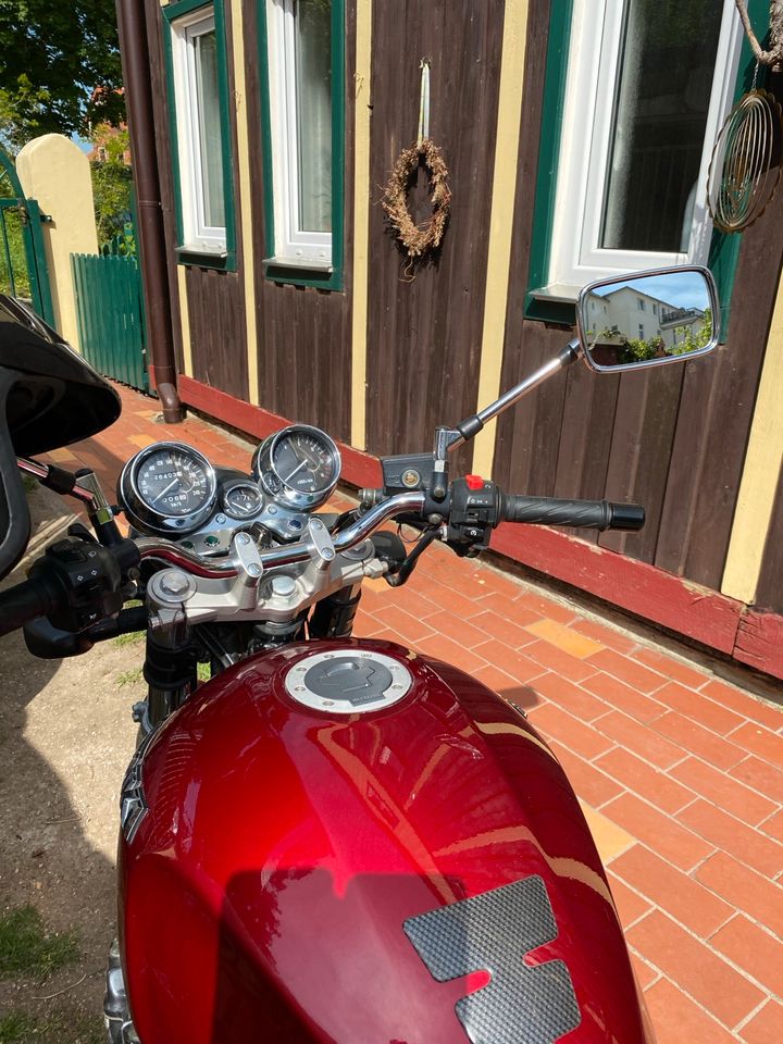 Motorrad - Suzuki in Blankenburg (Harz)