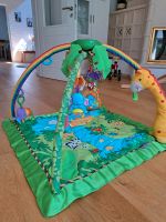 Fisherprice Erlebnisdecke Niedersachsen - Dörverden Vorschau