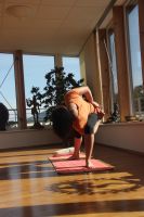 Hatha-Yoga Grundkurs (auch online) zertifiziert Hansefit Yoga Baden-Württemberg - Waldkirch Vorschau