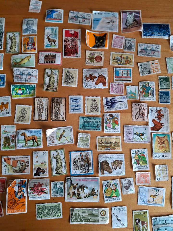 Verschiedene Briefmarken in Rosenheim
