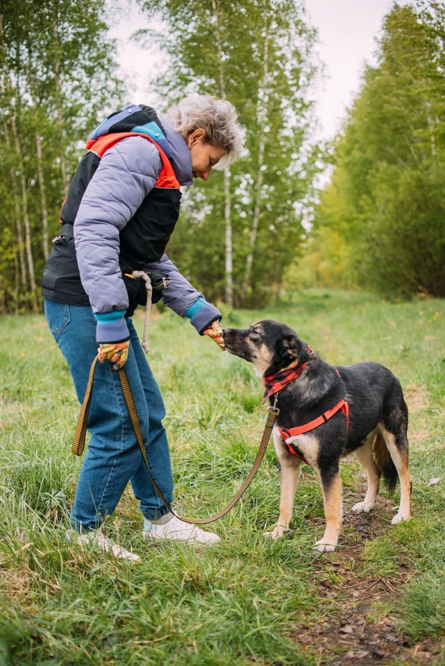 Tierschutz - Der liebevollste Hund Senya sucht seine Familie! in Bremen