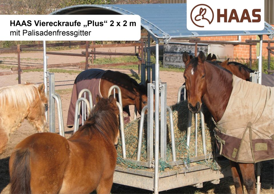 HAAS Viereckraufe "Plus" Palisadenfressgitter (2x2 m) MEGAANGEBOT in Nümbrecht