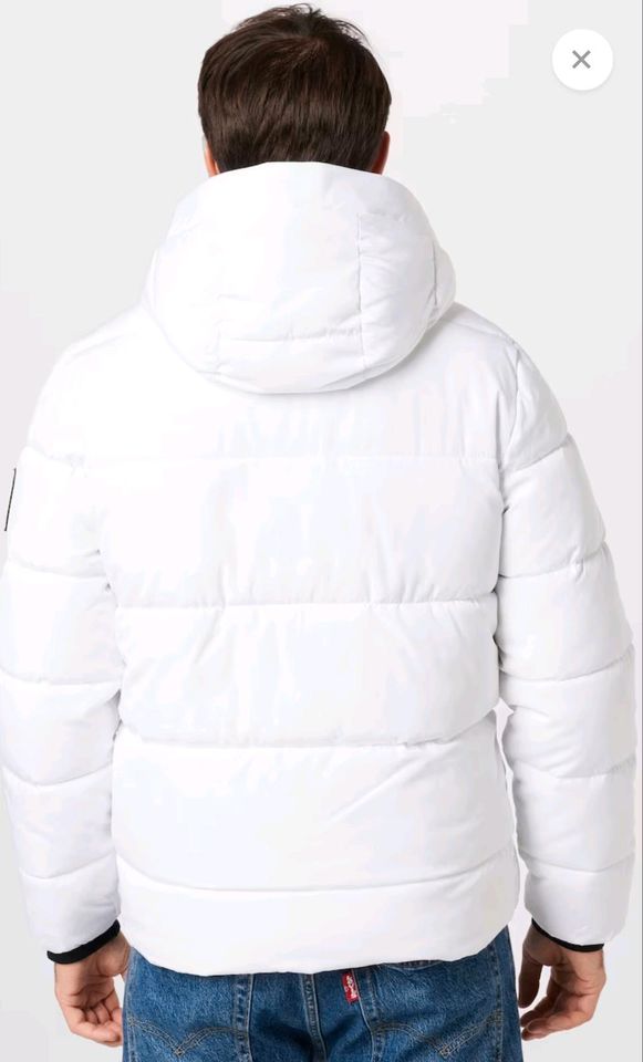 Hollister Steppjacke Herren Weiss Gr.L in Köln