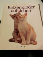 Katzenkinder aufziehen Baden-Württemberg - Dettingen unter Teck Vorschau