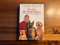 Buch César Millan Hunde Ratgeber Mecklenburg-Vorpommern - Kemnitz Vorschau