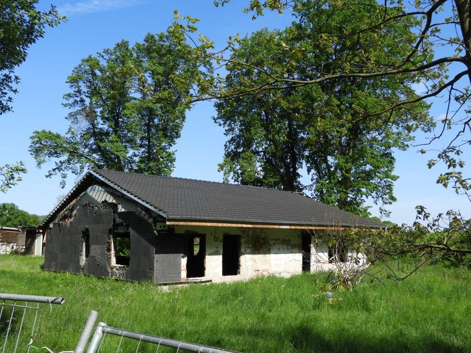 +Reserviert+ GRUNDSTÜCK IM HARZ+IN MITTEN DER NATUR+ZU VERKAUFEN in Südharz