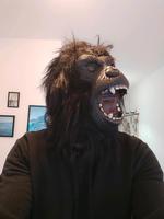 Halloween Karneval Gorilla Affenmaske Maske Gummimaske Kostüm Nordrhein-Westfalen - Bad Oeynhausen Vorschau