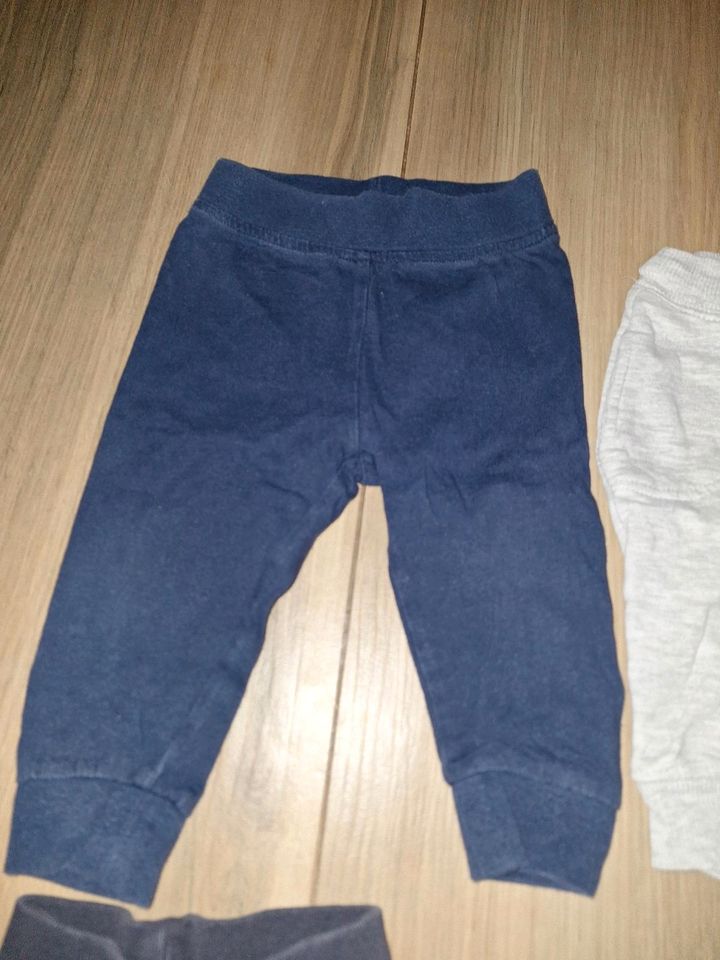 H&M Hosen/ Jeans/ Leggins  Größe 68 in Hütschenhausen