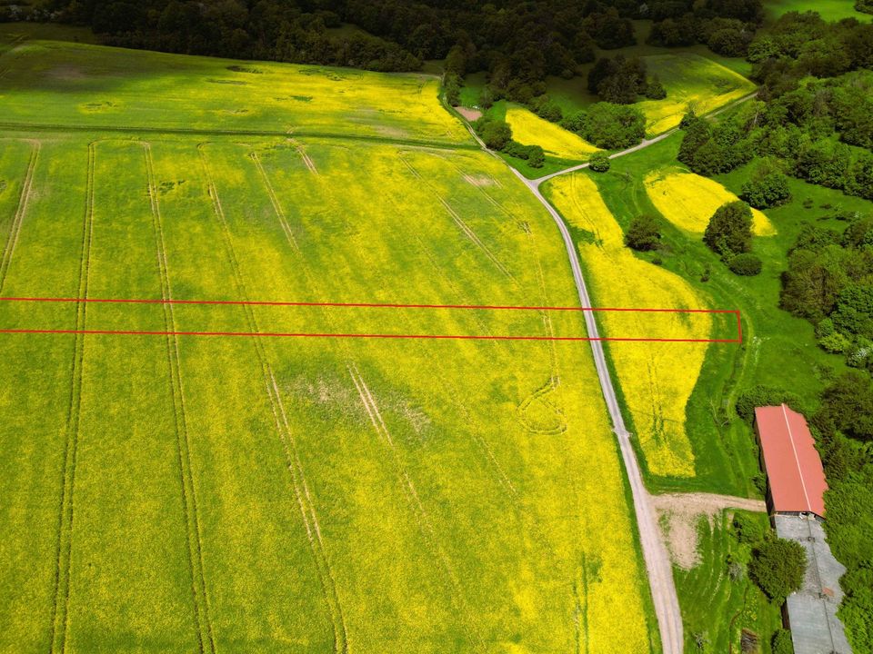 Landwirtschaftliche Flächen in der Gemarkung Pölsfeld zu verkaufen in Sangerhausen