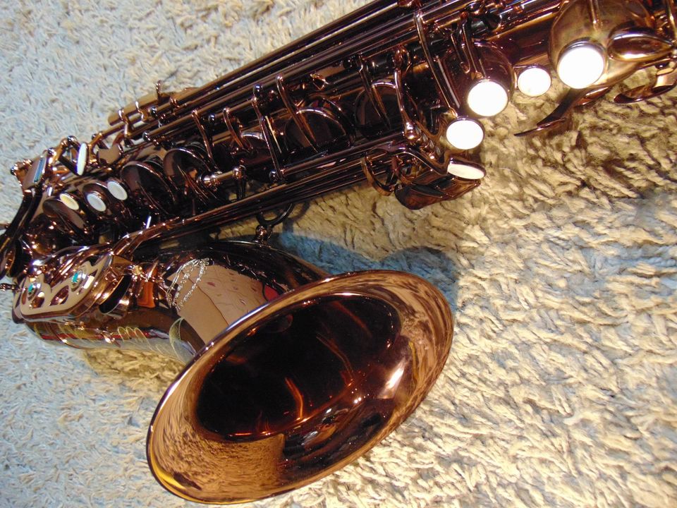 Tenor-Saxophon, CHATEAU CTS 50, NEU, Bluespeter1 in Ladbergen