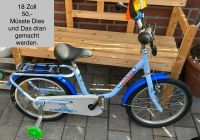 Puky Delfin Fahrrad blau Niedersachsen - Lohne (Oldenburg) Vorschau