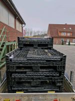 Gitterboxen / Paletten klappbar faltbar Niedersachsen - Wallenhorst Vorschau